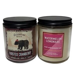 2 Bath & Body Works Frosted Cranberry & Watermelon Lemonade Single Wick Candles